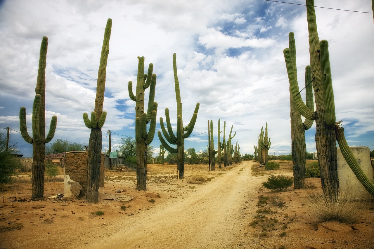 Scottsdale, AZ